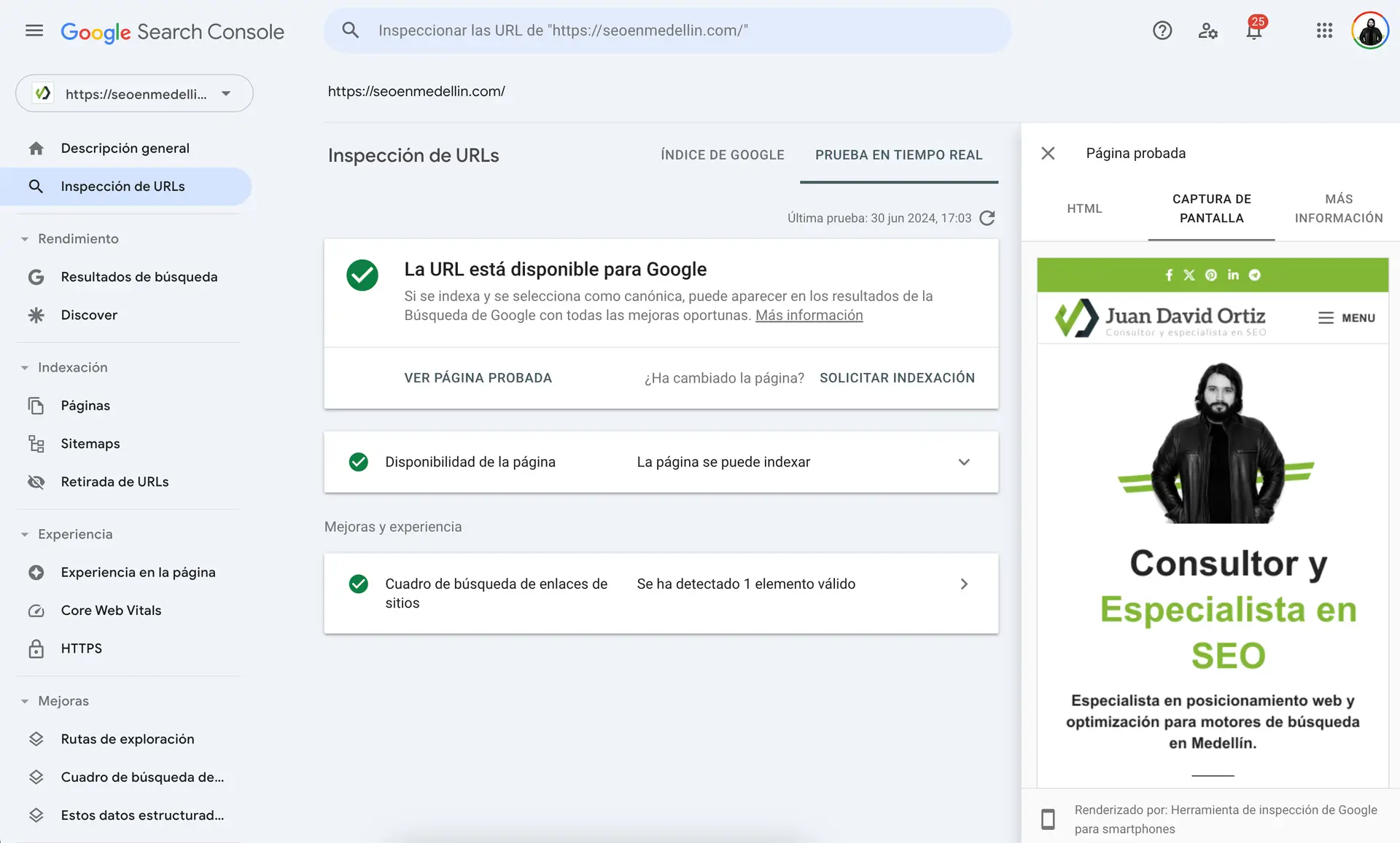 seo javascript, Juan David Ortiz - SEO en Medellín Google Search Console para evaluar renderizado de página web
